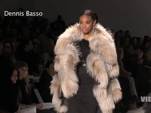 fashion